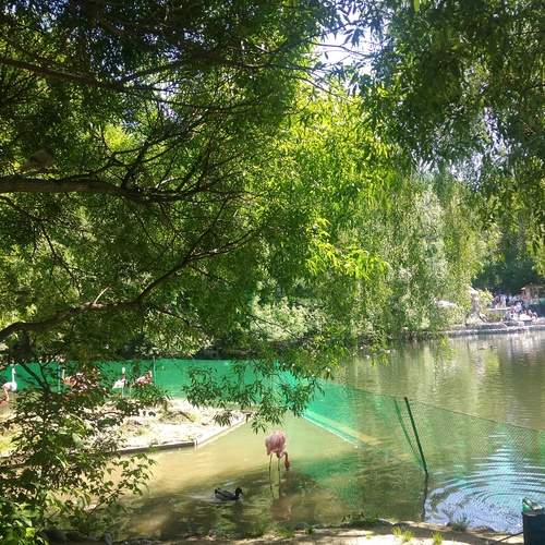 Photo #12821799