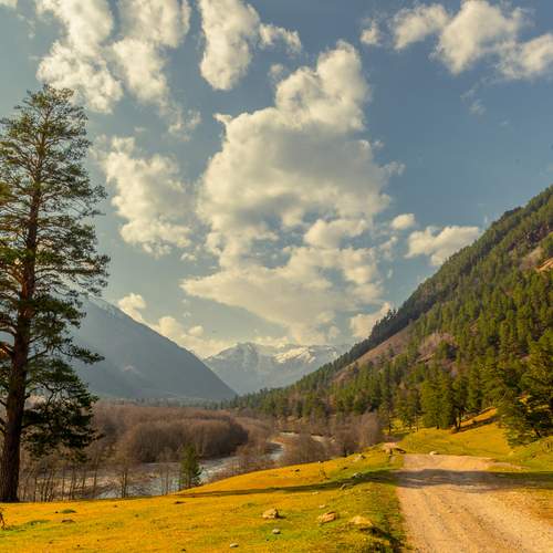 Photo #12821876