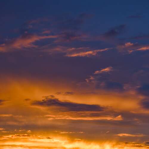 Photo #12821894