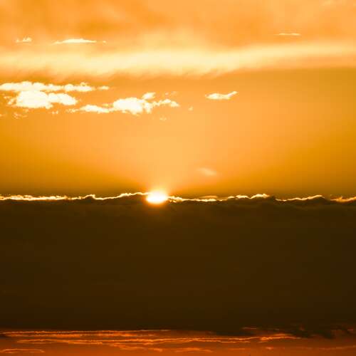 Photo #12821895
