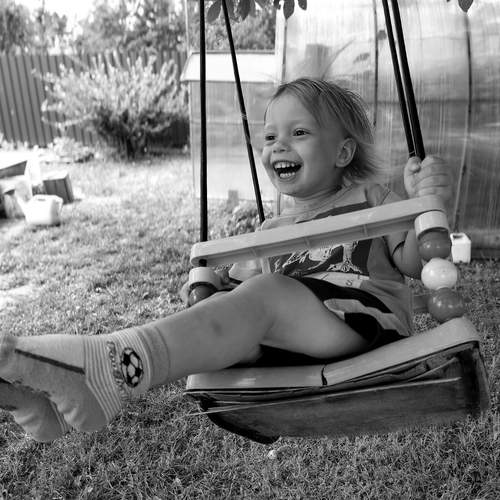 Photo #12821971