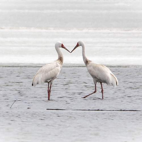 Photo #12822011