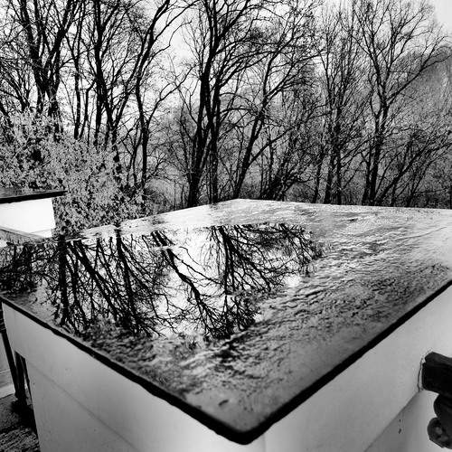 Фотография #12822036