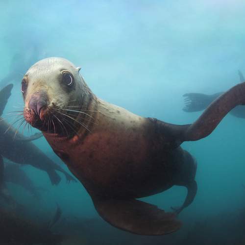 Photo #12822049