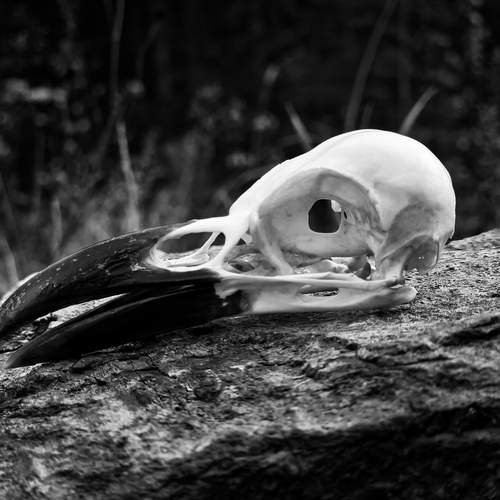 Photo #12822057