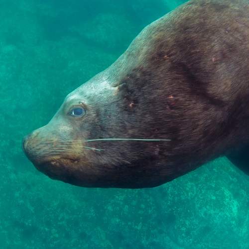 Photo #12822091