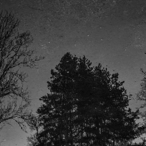 Photo #12822193