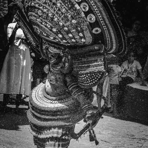 Photo #12822352