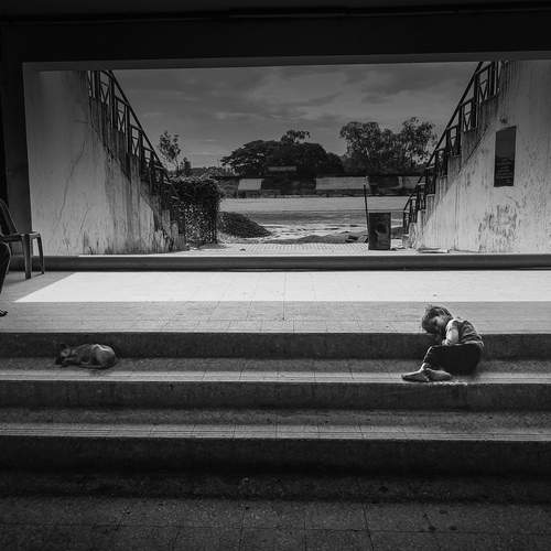 Photo #12822354
