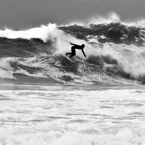 Photo #12822464