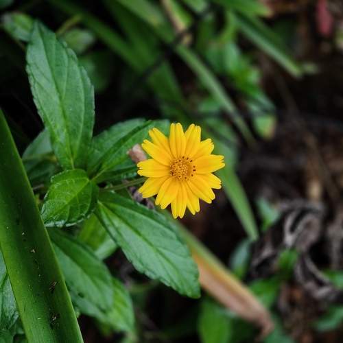 Photo #12822730