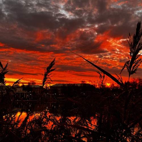 Photo #12822870