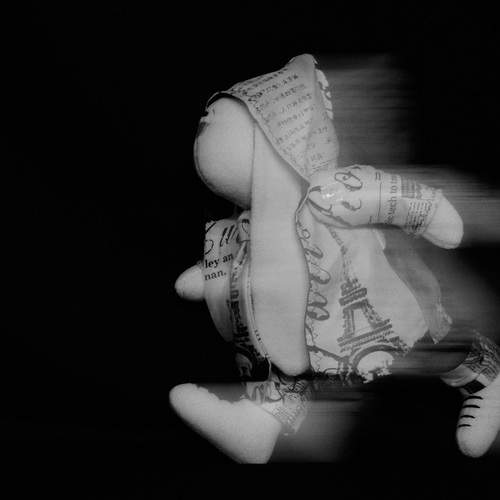 Photo #12823342