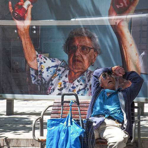 Photo #12823370