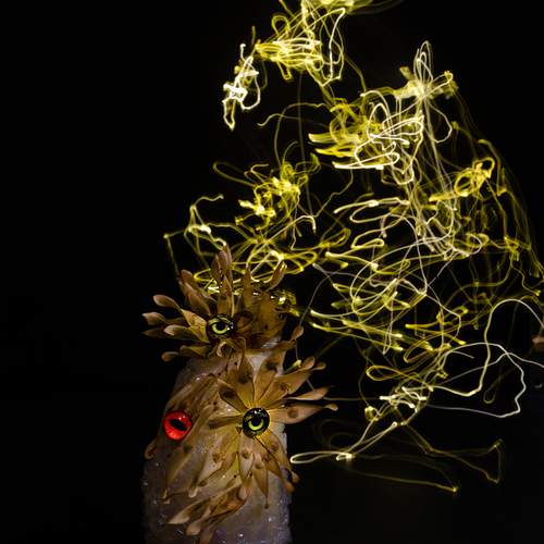 УдивлённоЁ и взлохмаченноЁ!