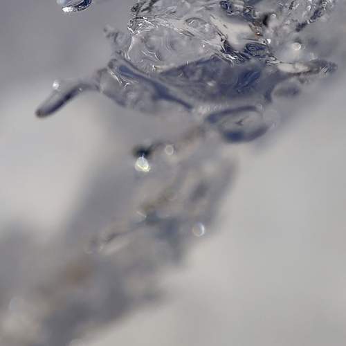 Photo #12823968
