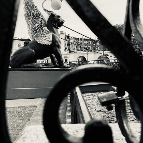 Photo #12823969
