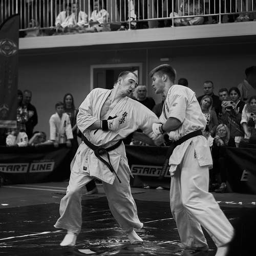 Photo #12824485