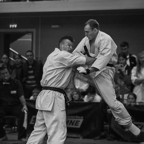 Photo #12824486