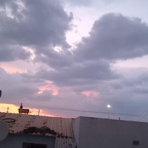 Photo #12824964