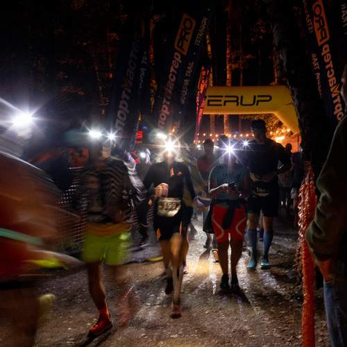 Photo #12825022
