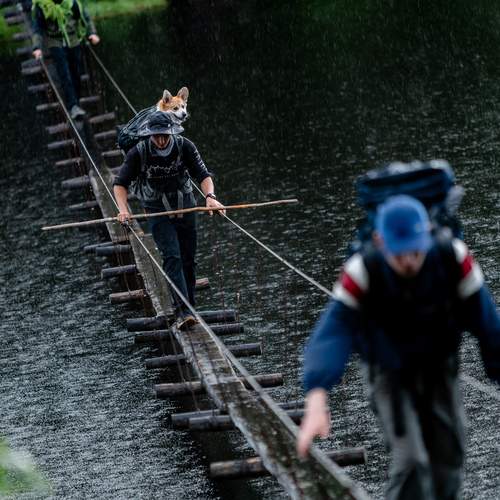 Photo #12825024