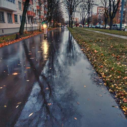 Photo #12825598