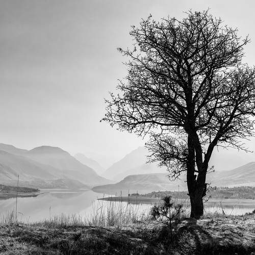 Жизнь с видом на Мир.