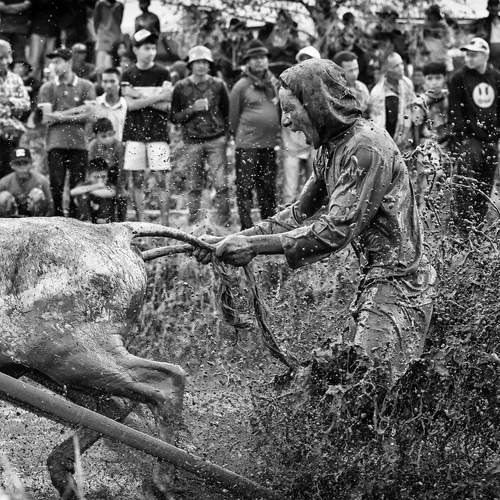 Фотография #12825732