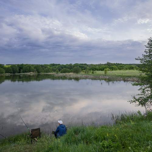 Фотография #12825901