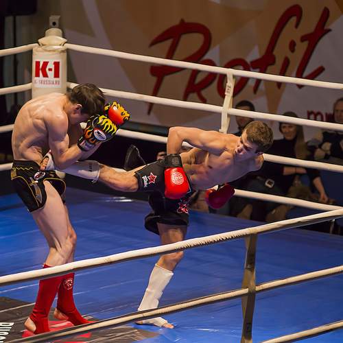 Фотография #12825953