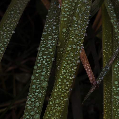 Photo #12826262