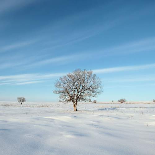 Photo #12826518