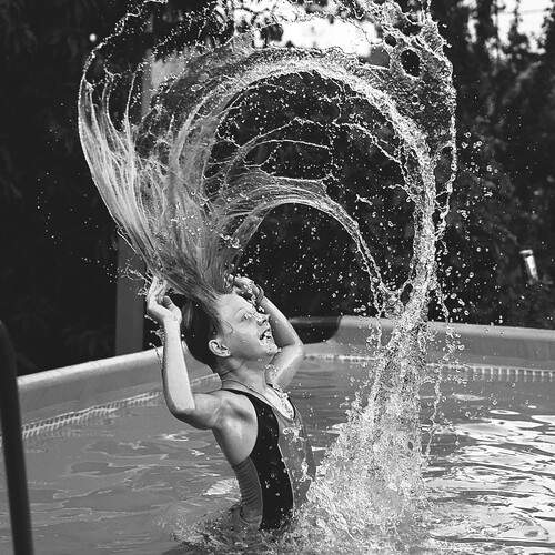 Photo #12826960