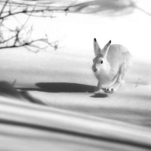 Photo #12827064