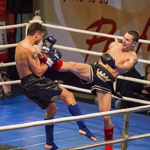 Фотография #12827224