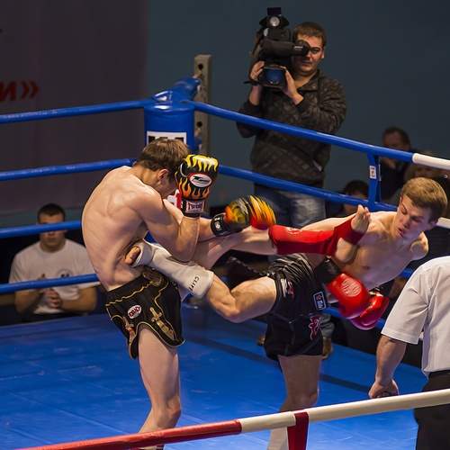 Фотография #12827225