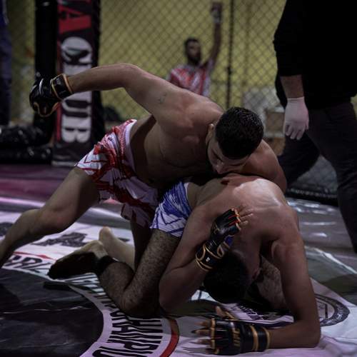 Photo #12827330