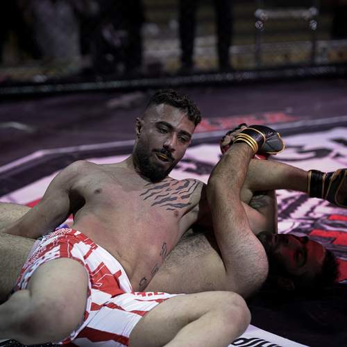 Photo #12827340