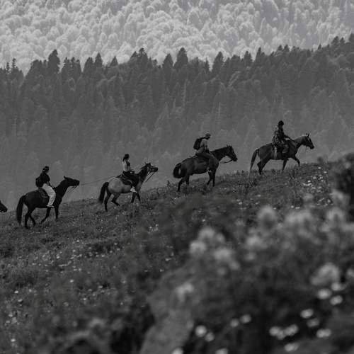 Photo #12827378