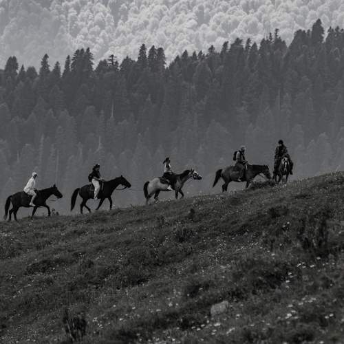 Photo #12827395
