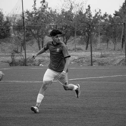 Photo #12827421