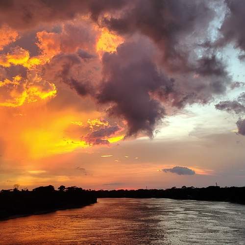 Photo #12827567