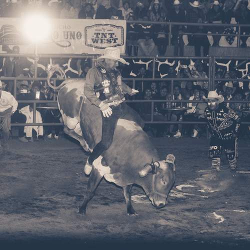 Photo #12827854