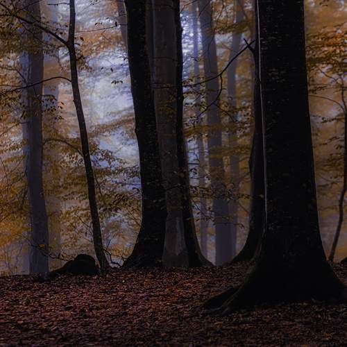 Photo #12827943