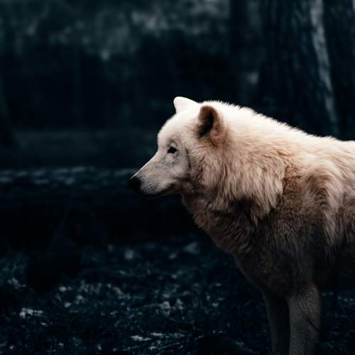 Photo #12828211