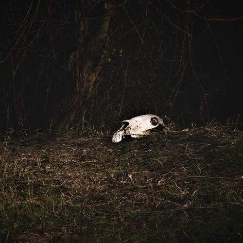 Photo #12828248