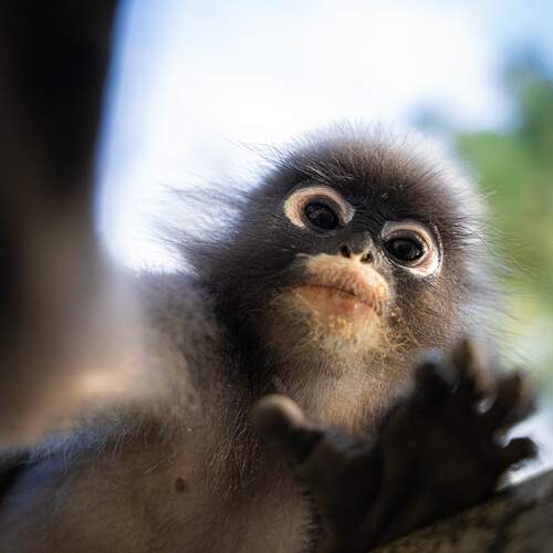 Photo #12828634