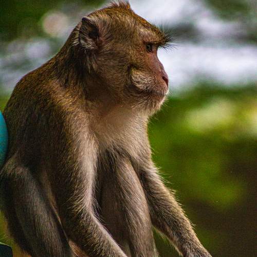 Photo #12828639
