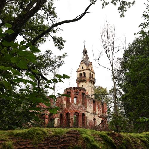 Photo #12828693